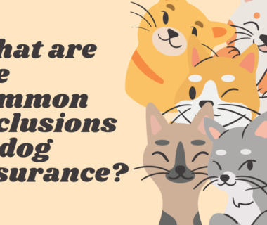 common exclusions in dog insurance