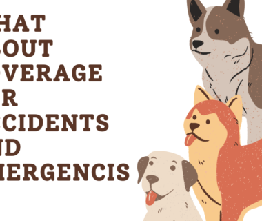 coverage for accidents and emergencies
