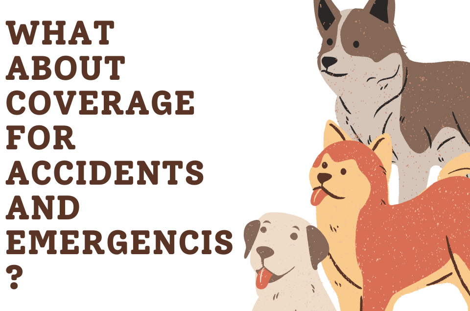 coverage for accidents and emergencies